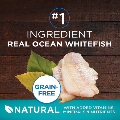 Purina ONE True Instinct Dry Cat Food Grain Free Ocean Whitefish 1.45 kg