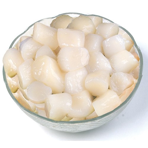 Frozen Bulk Scallops 10-20