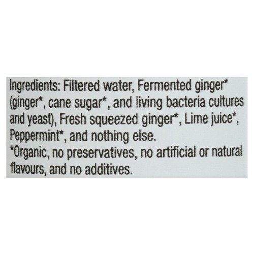 Gutsy Sparkling & Alive Beverage Mojito Ginger Beer 355 ml