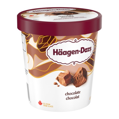Haagen-Dazs Ice Cream Chocolate 450 ml