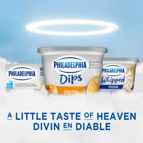 Philadelphia Onion Dip