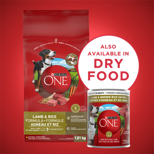 Purina ONE Wet Dog Food Tender Cuts In Gravy Lamb & Brown Rice Entre 368 g
