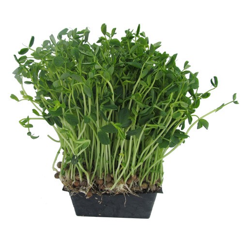 Slegers Organic Pea Tenders 500 g
