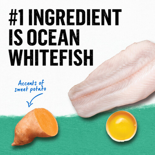 Purina Beyond Grain Free Dry Cat Food Ocean Whitefish & Egg 1.36 kg