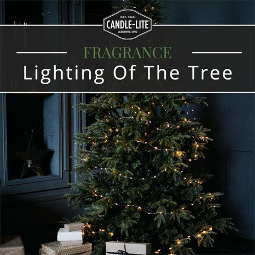 Candle-lite Candle Jar Lighting Of The Tree 1 Pack