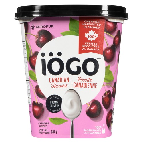 Iögo Canadian Harvest  3.2% Yogurt Cherries 650 g