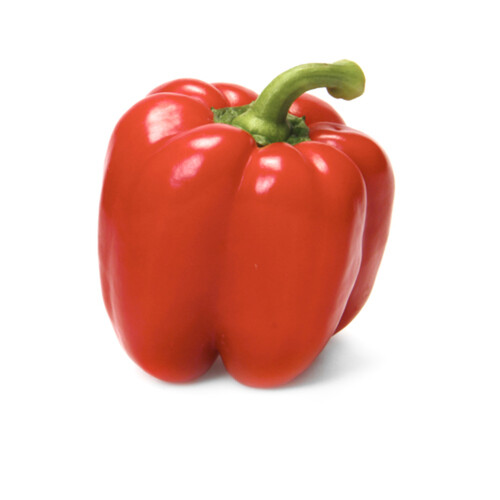 Red Pepper Extra Large 1 Count