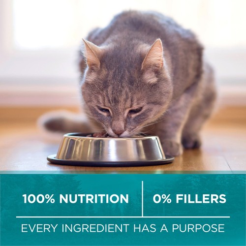 Purina ONE True Instinct Dry Cat Food Grain Free Chicken 1.45 kg