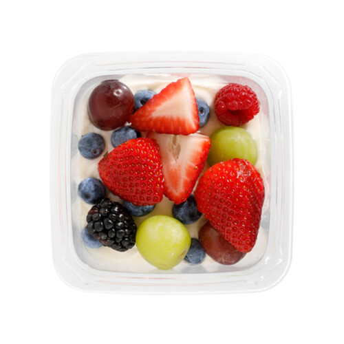 Yogurt Bowl Greek Yogurt With Fruit 