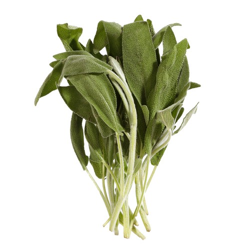 Organic Sage 28 g