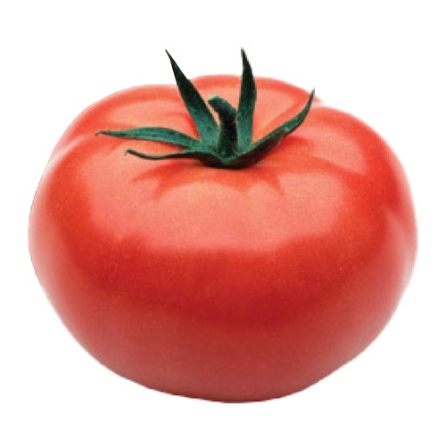Hothouse Organic Beefsteak Tomato 2 Count