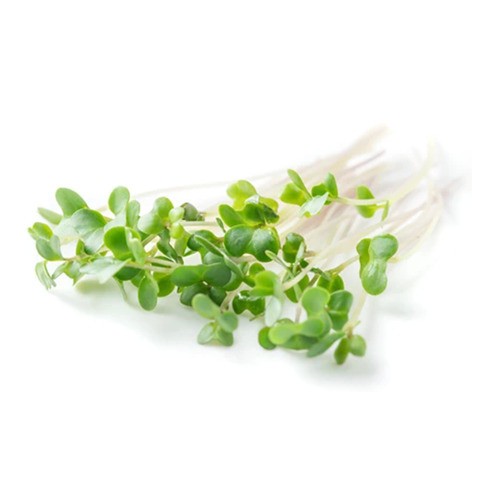 Broccoli Sprouts 100 g