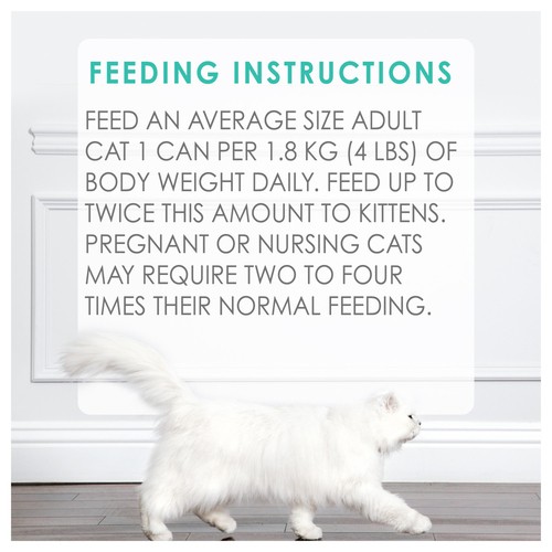 Fancy Feast Wet Cat Food Flaked Trout Feast 85 g