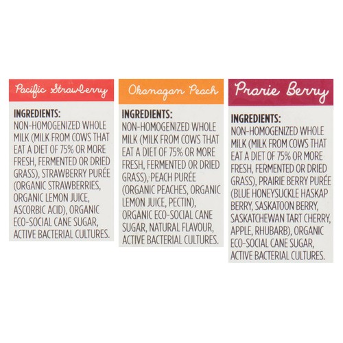Tree Island Gourmet Yogurt 6.5% Yogurt Fruit 4 x 150 ml