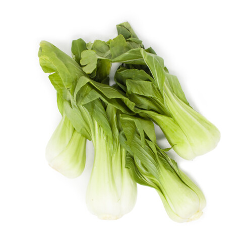 Baby Bok Choy Local 5 Count