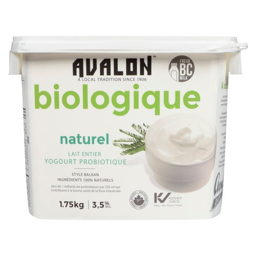 Avalon Dairy Organic Probiotic Plain Yogurt 1 EA