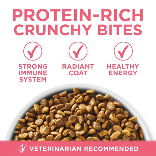 Purina ONE +Plus Dry Kitten Food Healthy Kitten Chicken 1.8 kg