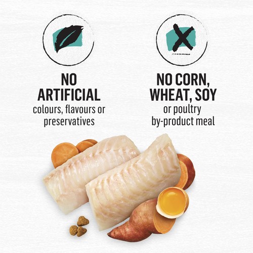 Beyond Grain-Free Dry Cat Food Wild-Caught Whitefish & Free Run Egg Recipe 2.26 kg