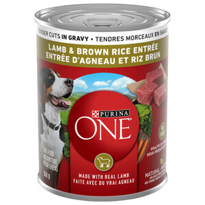 Purina ONE Wet Dog Food Tender Cuts In Gravy Lamb Brown Rice