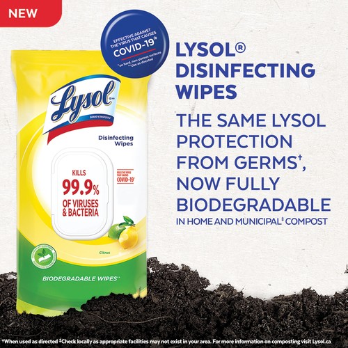 Lysol Disinfecting Wipes Spring Waterfall 30 EA