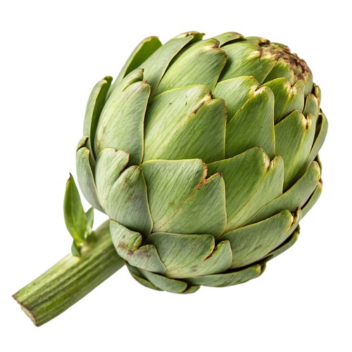 Artichoke Large 1 Count 
