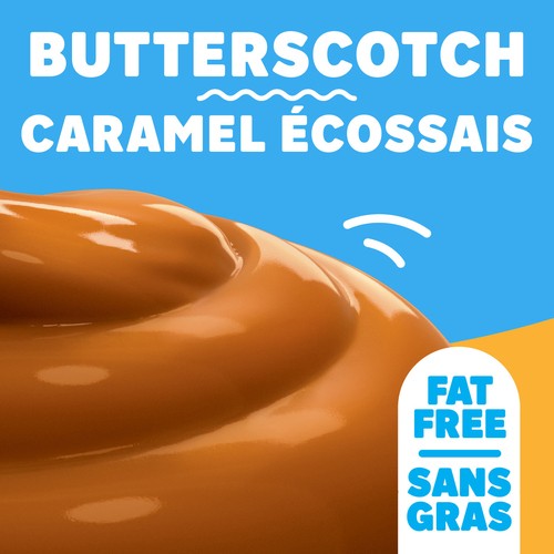 Jell-O Fat-Free Instant Pudding Butterscotch 30 g