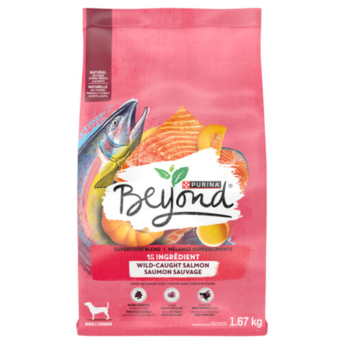 Beyond Dry Dog Food Wild Caught Salmon, Egg & Pumpkin Recipe 1.67 kg