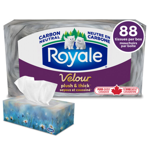 Royale Facial Tissue 3-Ply 1 Box x 88 Sheets