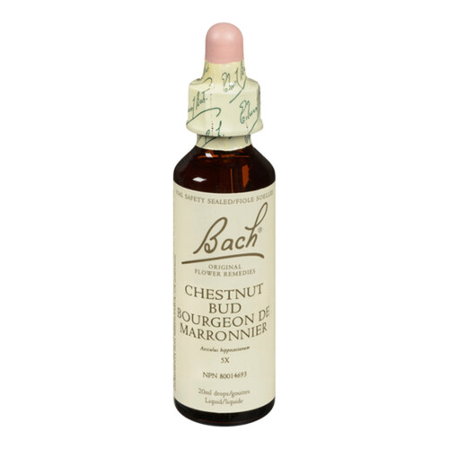 Bach Essence Chestnut Bud 20 ml