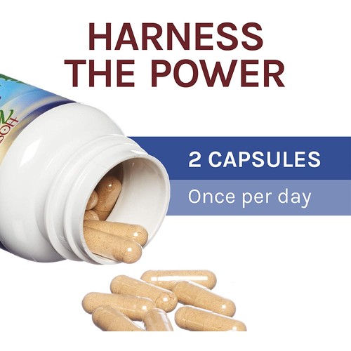 Host Defense Stamets7 Daily Immune Supplement 60 EA