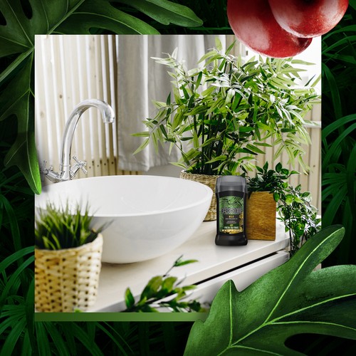Axe Deodorant Stick Jungle Pine & Clove Leaf 85 g