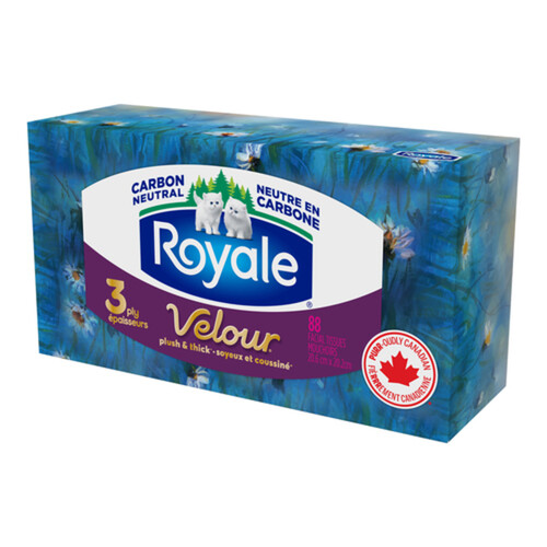 Royale Facial Tissue 3-Ply 1 Box x 88 Sheets