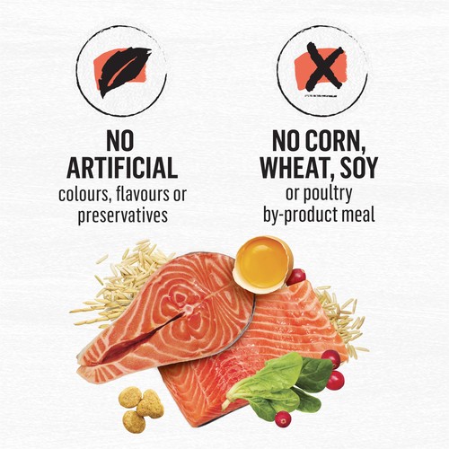 Beyond Simply Dry Cat Food Salmon & Whole Brown Rice Recipe 2.72 kg