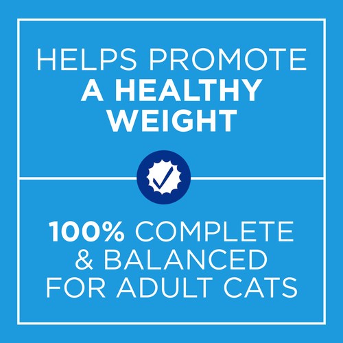Cat Chow Dry Cat Food Indoor With Real Chicken 3.2 kg