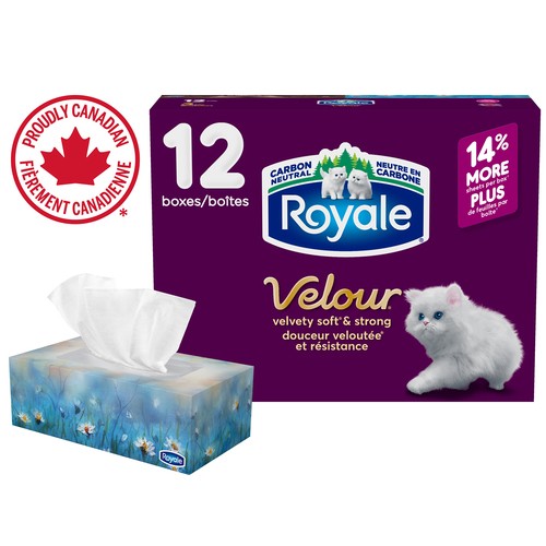 Royale Velour Facial Tissue 12 Flat Boxes x 82 Sheets