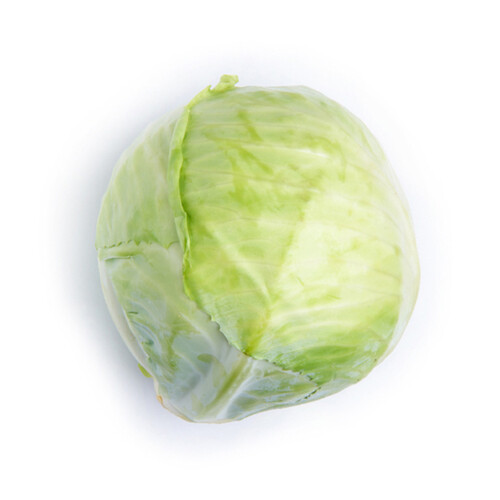 Organic Green Cabbage 1 Count