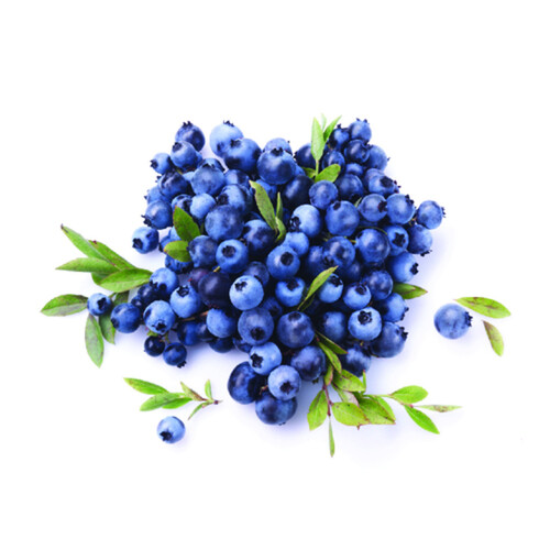 Wild Blueberries 2.75 lb