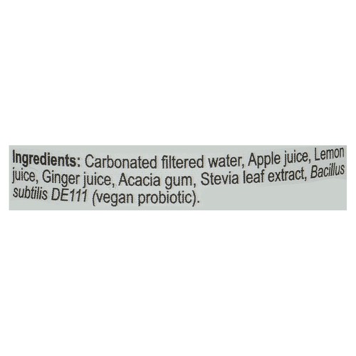 Loop Mission Soda Fresh Fruit Lemon Ginger 355 ml (can)