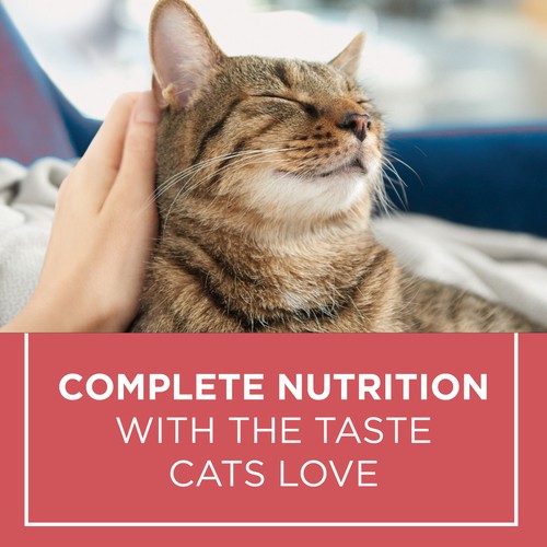 Cat Chow Complete Dry Cat Food Real Salmon 1.6 kg