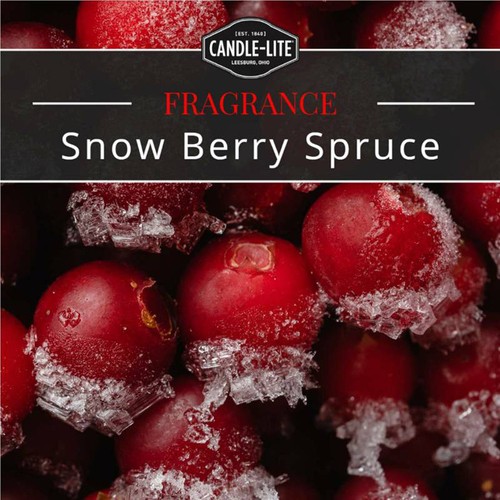 Candle-lite Candle Jar Snow Berry Spruce 1 Pack