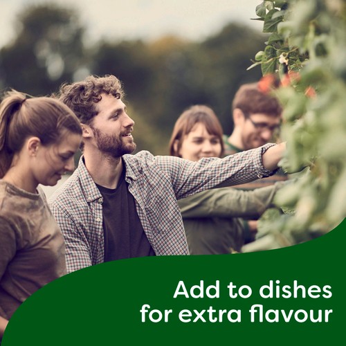 Knorr Concentrated Bouillon Beef Just A Drop Adds Deep Rich Flavour 250 ml