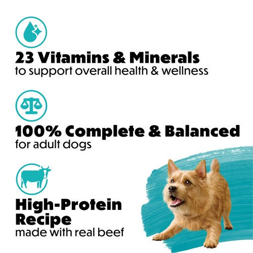 Beneful Incredibites Dog Food Gravy Beef 85 g