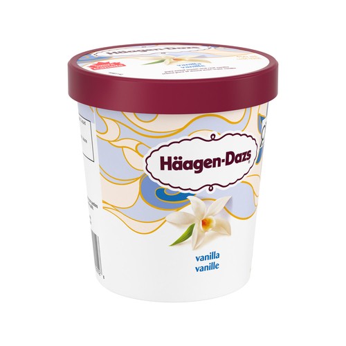 Häagen-Dazs Ice Cream Vanilla 450 ml