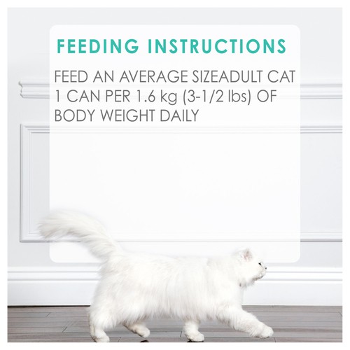 Fancy Feast Wet Cat Food Pate Beef Flavour 85 g