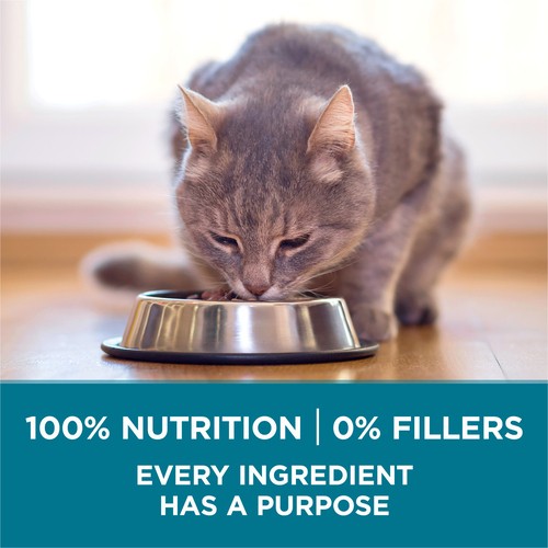 Purina ONE Microbiome Balance Dry Cat Food Salmon & Rice Formula 3 kg