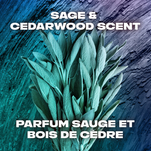 Axe Deodorant Apollo Sage & Cedarwood 85 g