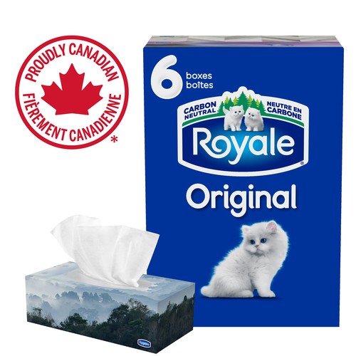 Royale Original Facial Tissue 2 Ply 6 Boxes x 100 Sheets