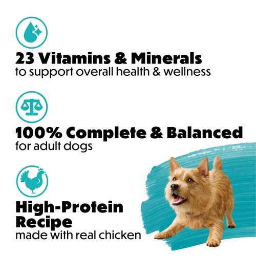 Purina Beneful Incredibites Wet Dog Food Real Chicken Pate 85 g