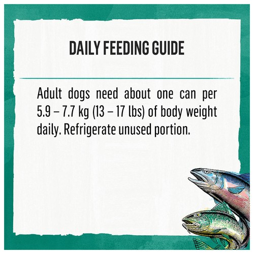 Beyond Ground Entre Wet Dog Food Alaskan Cod Salmon & Sweet Potato Recipe 368 g