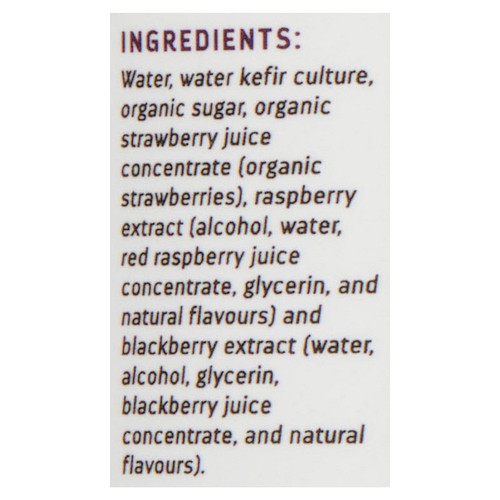 Squamish Water Kefir Sparkling Water Kefir Probiotic Soda Berry Berry 355 ml (can)